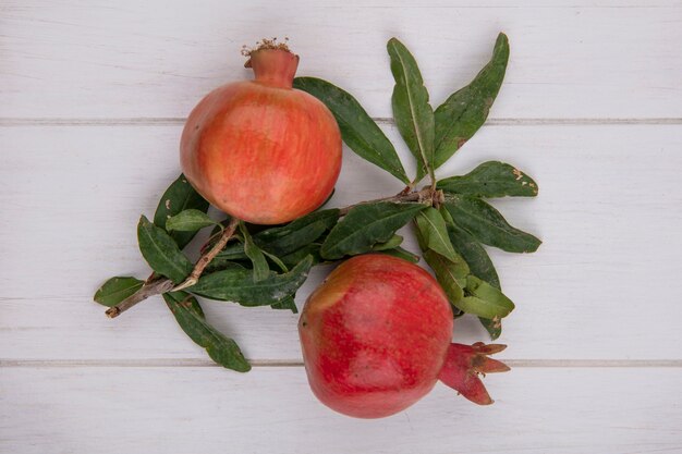 Top view pomegranates with branches of leaves on a white background