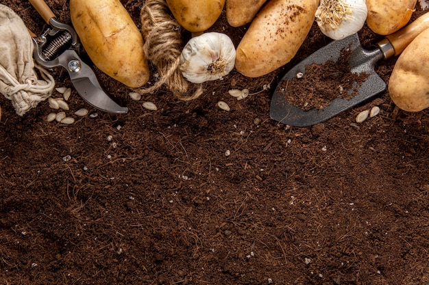 Top view of potatoes with copy space