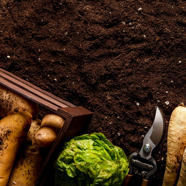 Top view of potatoes with salad and copy space