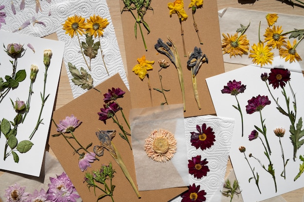 Top view of pressed flowers