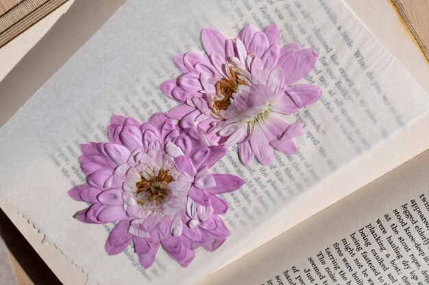 Top view of pressed flowers