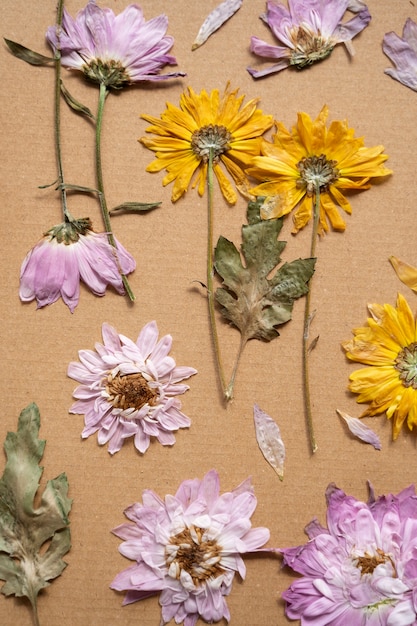 Free photo top view of pressed flowers