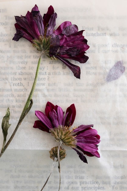 Top view of pressed flowers