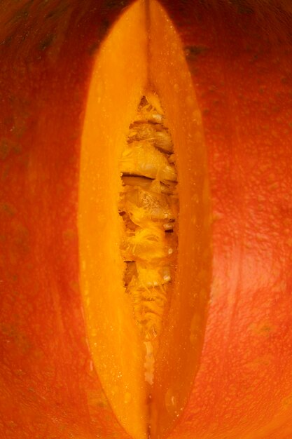 Top view pumpkin as female reproductive system