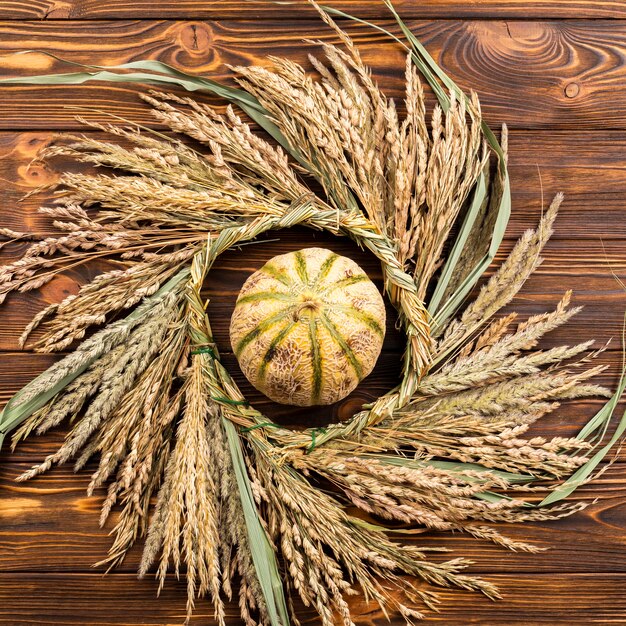 Top view pumpkin and wheat on wooden background