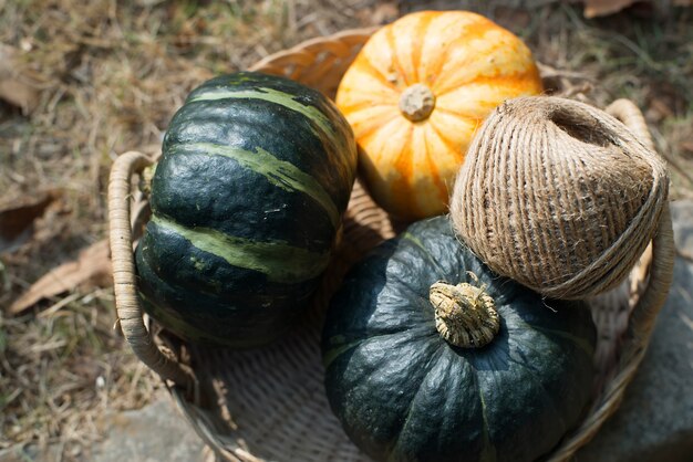 Top view of pumpkins and rope