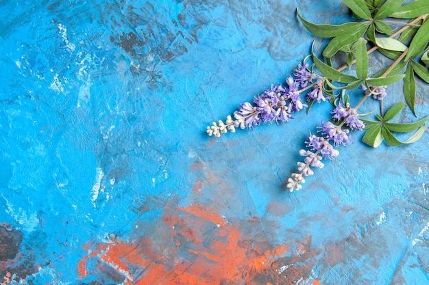 青い表面の紫色の花の枝の上面図