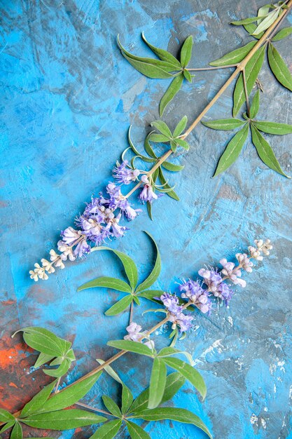 Top view of purple flower branches on blue surface