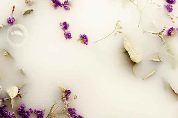 Top view purple flowers in white water