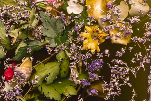 黒い水の中の紫と黄色の花のトップビュー