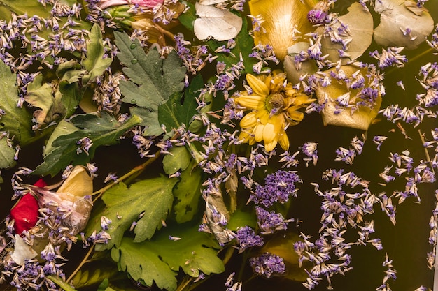 Top view purple and yellow flowers in black water