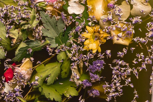 Top view purple and yellow flowers in black water