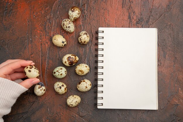 Top view quail eggs on dark table