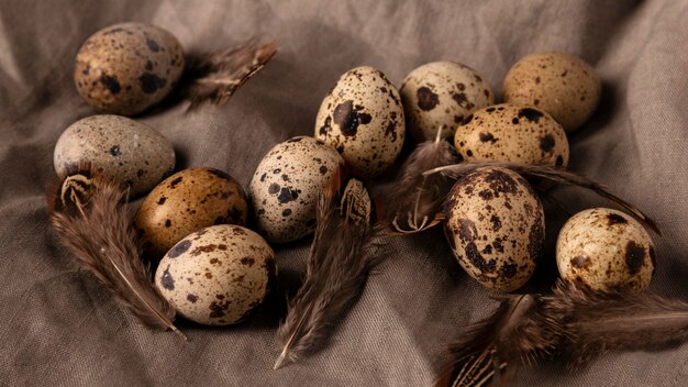 Top view quail eggs and feathers