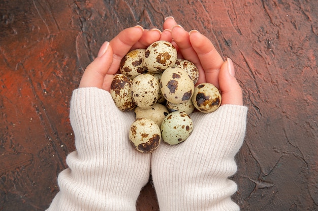 Top view quail eggs in female hands on a dark table