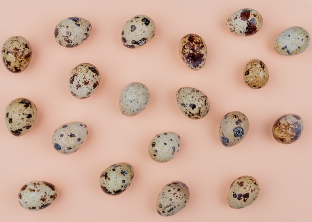 Free photo top view of quail eggs with cream colored shells with brown splotches on a pink background