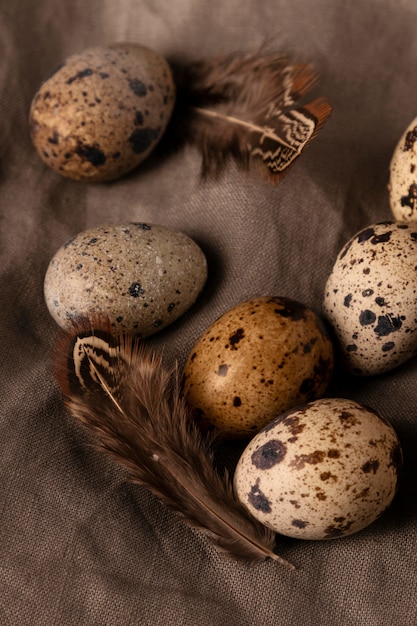 Top view quail eggs with feathers