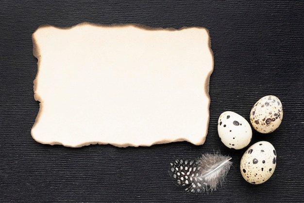 Free photo top view quail eggs with paper piece