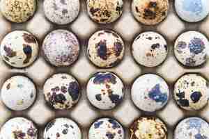 Free photo top view of quail eggs