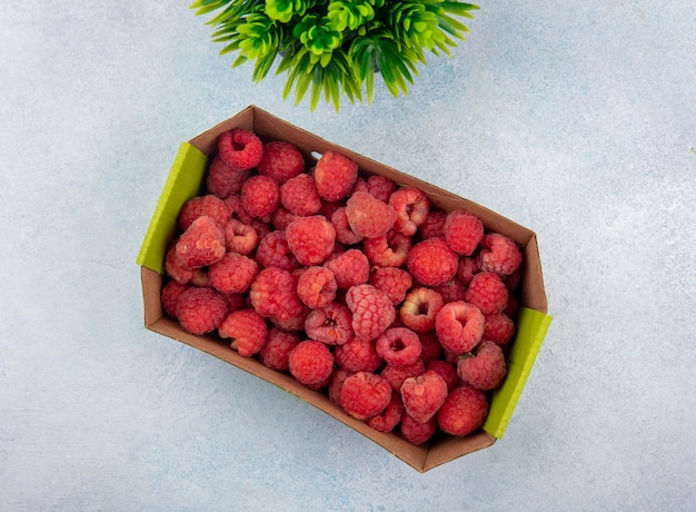 Top view of raspberries in cardboard box with flower on white surface