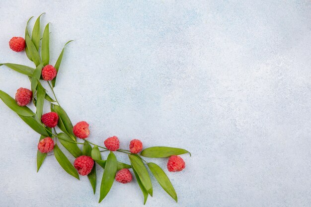 Top view of raspberries and leaves on white surface