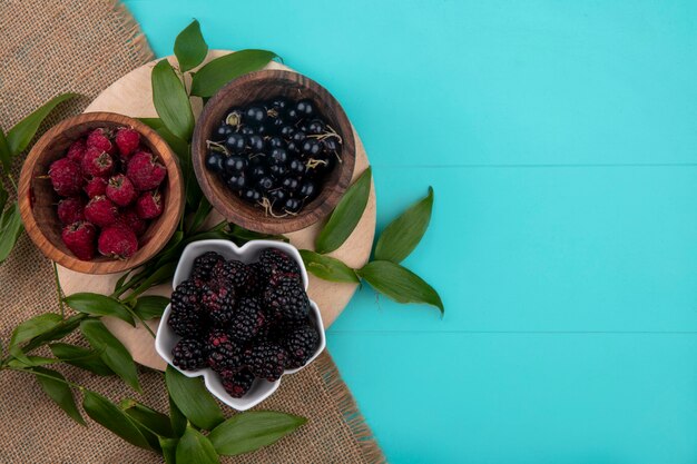 Top view of raspberries with black currants and blackberries in bowls on a stand on a turquoise surface