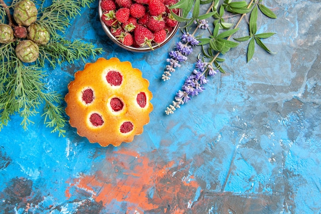 Top view of raspberry cake, bowl with berries and pine tree branches on blue surface