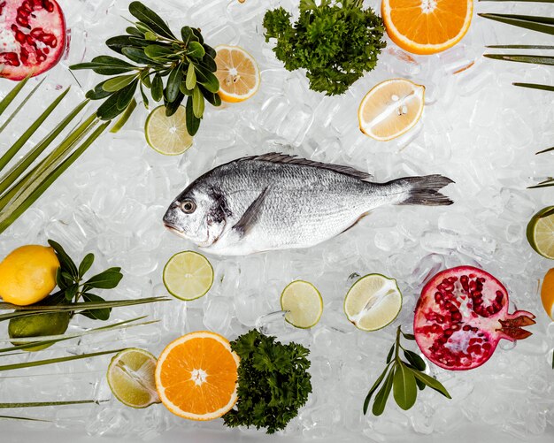 Top view of raw fish placed on ice surrounded with fruit slices