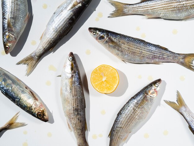 Top view raw fishes with a lemon