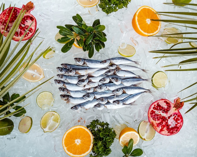 Top view of raw sprat placed on ice surrounded with fruit slices