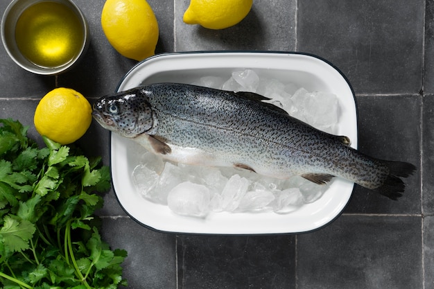 Top view raw trout still life