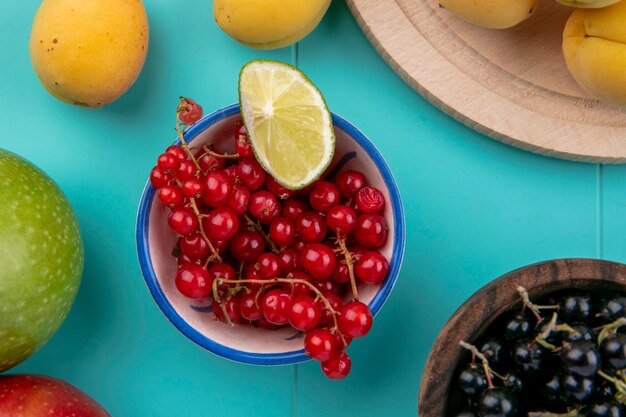 Top view of red and black currants in a bowl with apricots on a blue surface