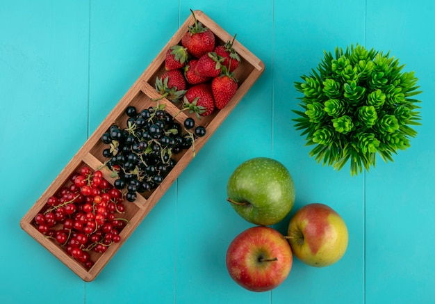 Free photo top view red and black currants with strawberries and apples on a blue background