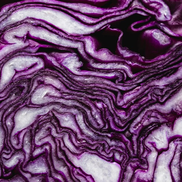 Top view red cabbage extremely close-up