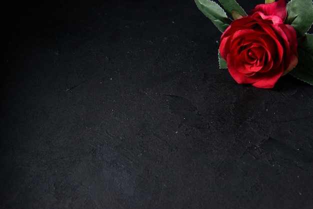 Top view of red flowers on a dark 