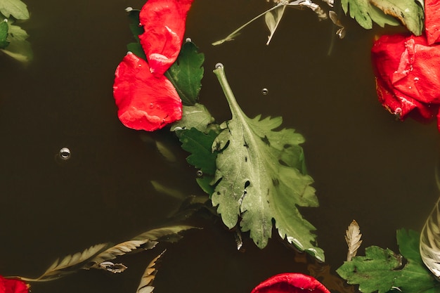 Free photo top view red petals in black water