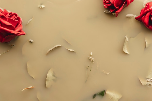 Top view red roses and petals in brown water