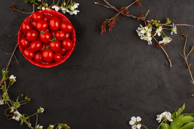 top view red tomatoes whole fresh ripe on the dark floor