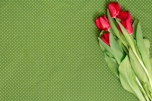 Top view of red tulip flowers over green polka dot background