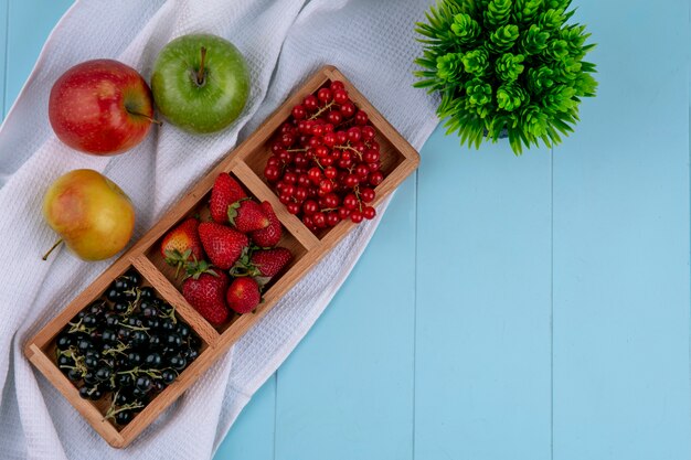 Top view red with black currant with strawberries and apples on a light blue background