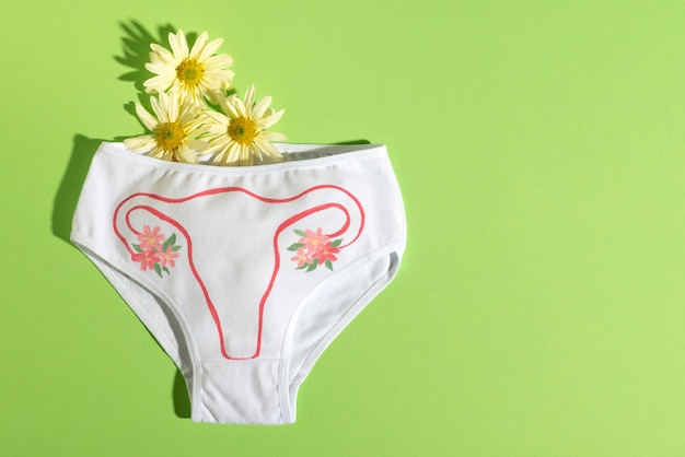 Free photo top view reproductive system on white underwear