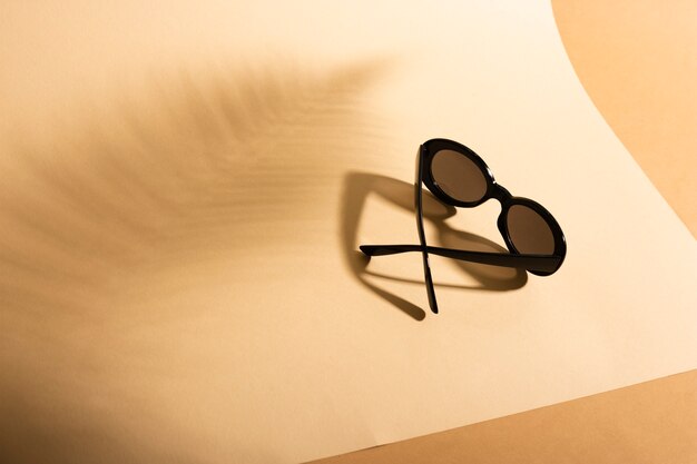 Top view retro sunglasses with shadow