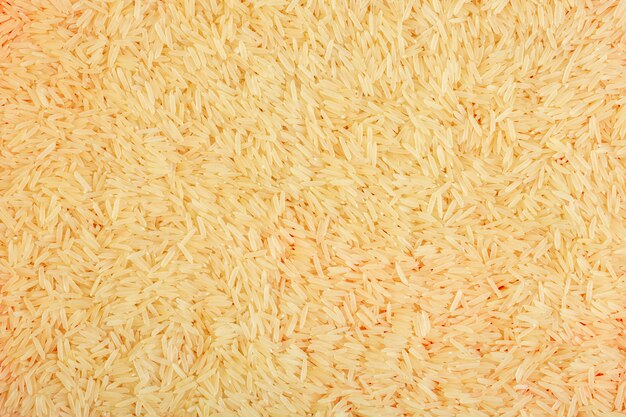 Top view of rice seed texture