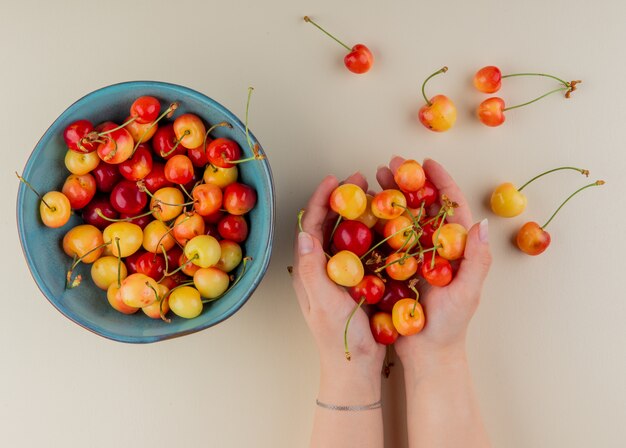 Top view of ripe rainier cherries in a bowl and handful of ripe cherry in female hands on white