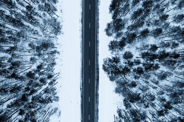 雪に囲まれた道路の上面図