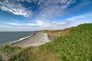 Free photo top view of a rocky coastline