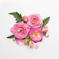 Free photo top view roses flowers