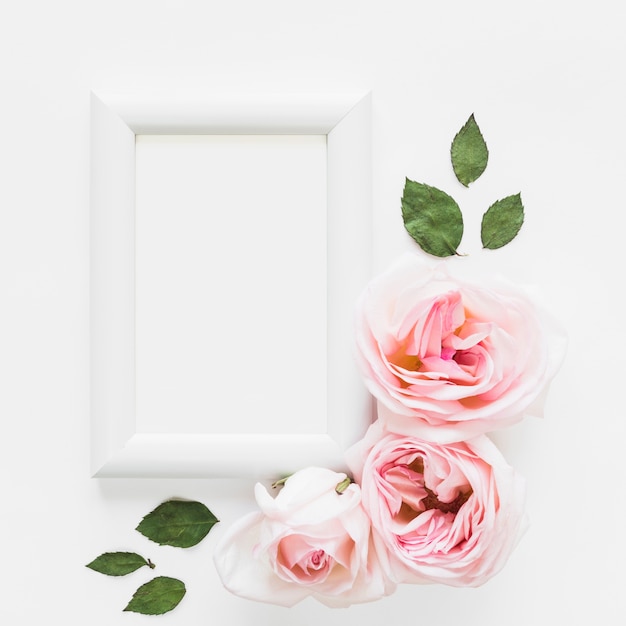 Free photo top view of roses and a frame