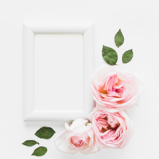 Top view of roses and a frame