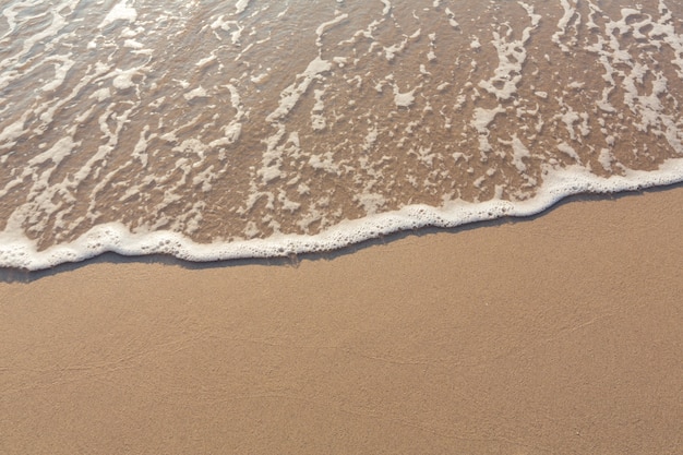 Free photo top view of sandy seashore